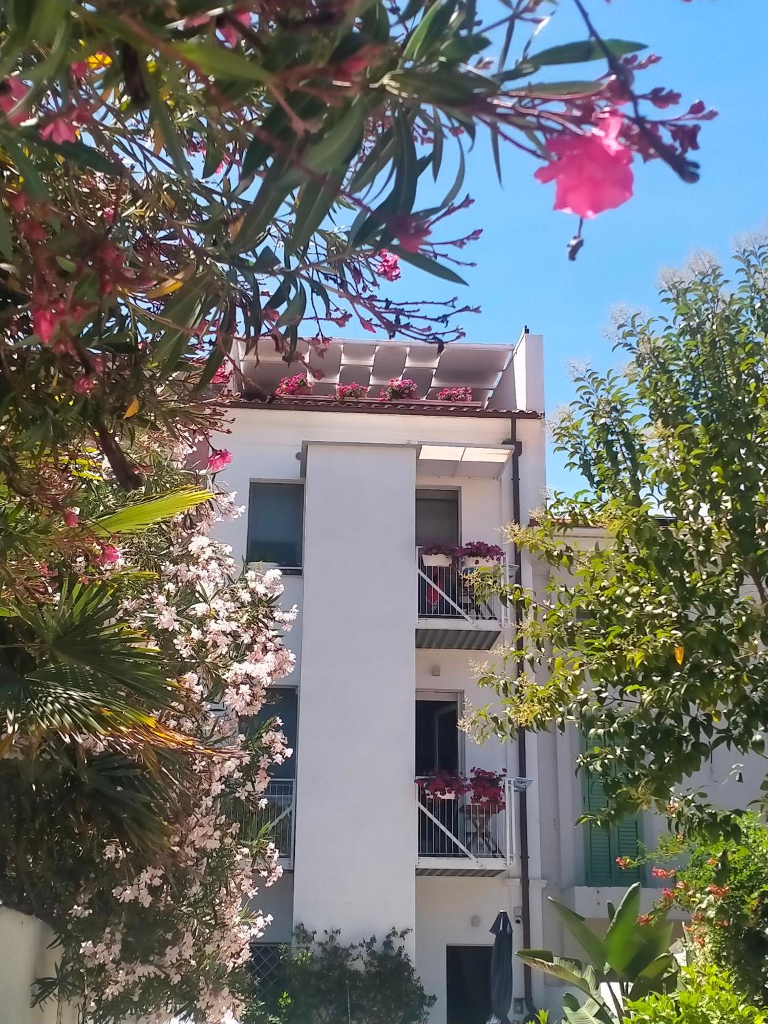 B&B Previsto Sole Civitanova Marche Exteriér fotografie